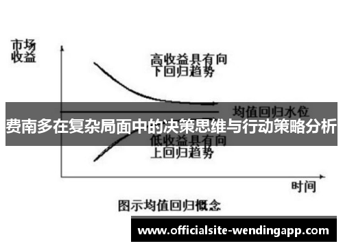 费南多在复杂局面中的决策思维与行动策略分析