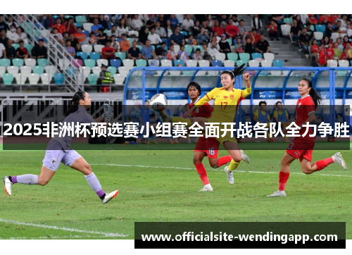 2025非洲杯预选赛小组赛全面开战各队全力争胜